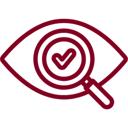 icono ojo con lupa y check en color granate